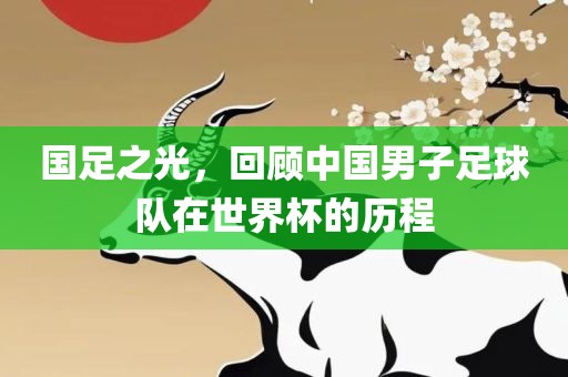 国足之光，回顾中国男子足球队在世界杯的历程
