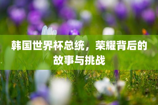 韩国世界杯总统，荣耀背后的故事与挑战
