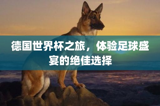 德国世界杯之旅，体验足球盛宴的绝佳选择