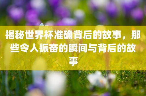 揭秘世界杯准确背后的故事，那些令人振奋的瞬间与背后的故事