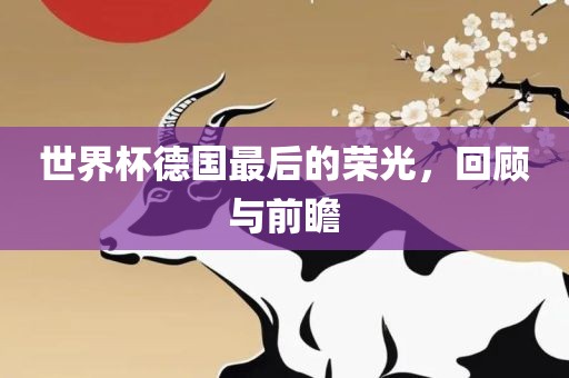 世界杯德国最后的荣光，回顾与前瞻