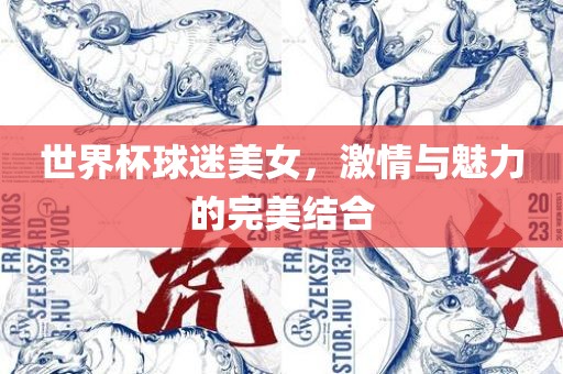 世界杯球迷美女，激情与魅力的完美结合