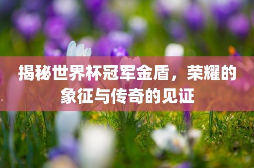 揭秘世界杯冠军金盾，荣耀的象征与传奇的见证