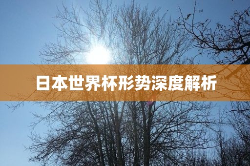 日本世界杯形势深度解析