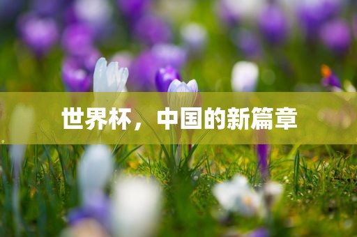 世界杯，中国的新篇章
