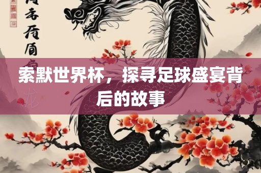 索默世界杯，探寻足球盛宴背后的故事