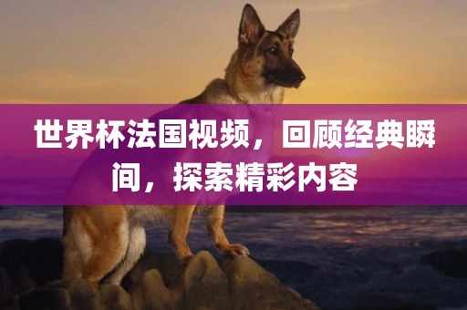 世界杯法国视频，回顾经典瞬间，探索精彩内容