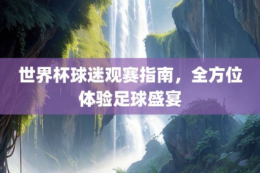 世界杯球迷观赛指南，全方位体验足球盛宴