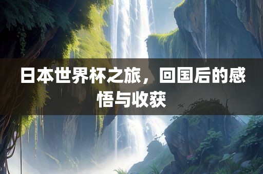 日本世界杯之旅，回国后的感悟与收获