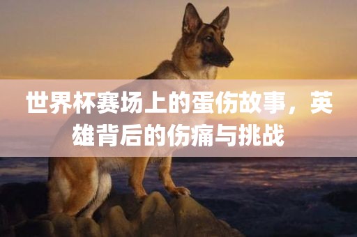 世界杯赛场上的蛋伤故事，英雄背后的伤痛与挑战