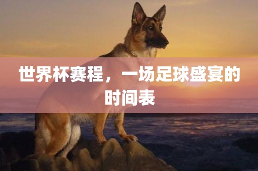 世界杯赛程，一场足球盛宴的时间表