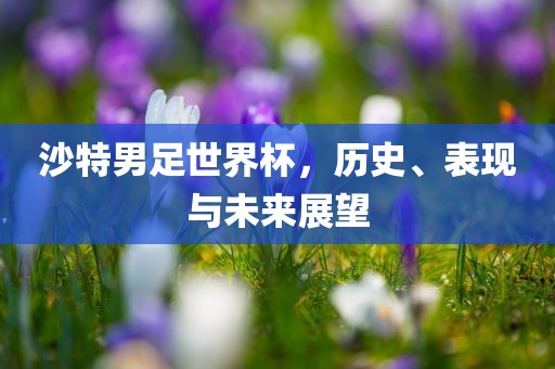 沙特男足世界杯，历史、表现与未来展望