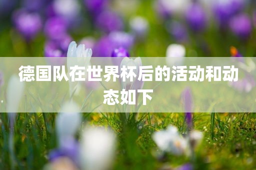 德国队在世界杯后的活动和动态如下