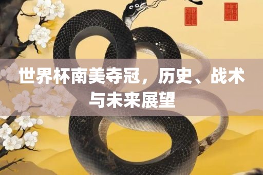 世界杯南美夺冠，历史、战术与未来展望