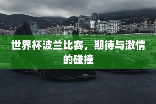 世界杯波兰比赛，期待与激情的碰撞