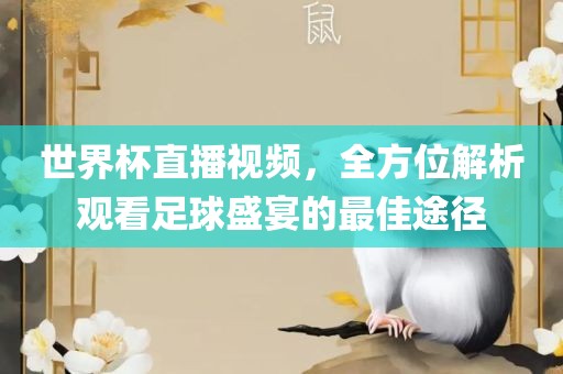 世界杯直播视频，全方位解析观看足球盛宴的最佳途径