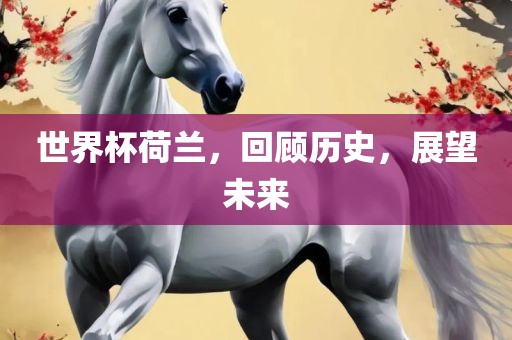 世界杯荷兰，回顾历史，展望未来