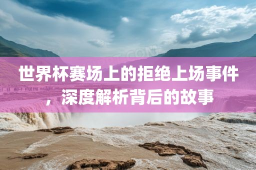 世界杯赛场上的拒绝上场事件，深度解析背后的故事