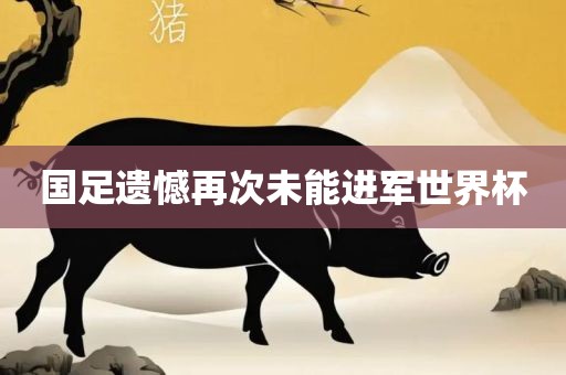 国足遗憾再次未能进军世界杯