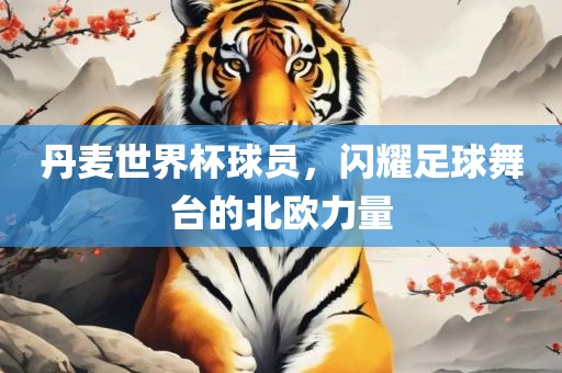丹麦世界杯球员，闪耀足球舞台的北欧力量