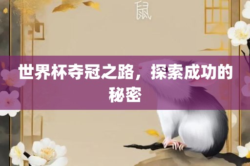 世界杯夺冠之路，探索成功的秘密