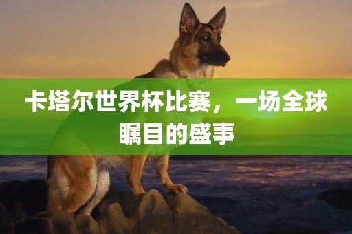 卡塔尔世界杯比赛，一场全球瞩目的盛事