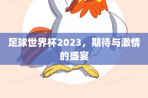 足球世界杯2023，期待与激情的盛宴