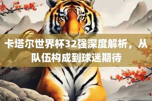 卡塔尔世界杯32强深度解析，从队伍构成到球迷期待
