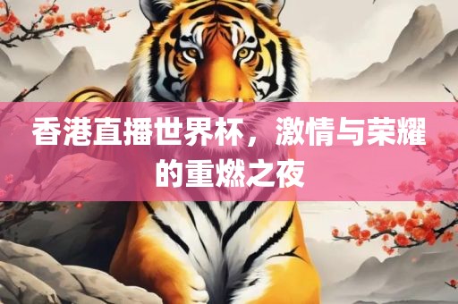 香港直播世界杯，激情与荣耀的重燃之夜