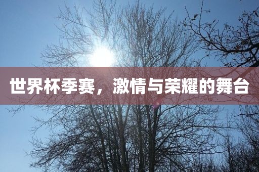 世界杯季赛，激情与荣耀的舞台
