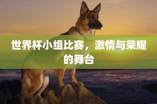 世界杯小组比赛，激情与荣耀的舞台
