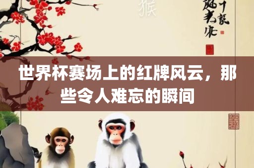 世界杯赛场上的红牌风云，那些令人难忘的瞬间
