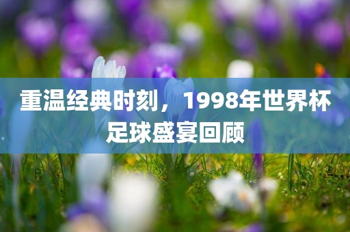 重温经典时刻，1998年世界杯足球盛宴回顾吉安市靖泰电力工程有限公司