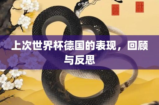 上次世界杯德国的表现，回顾与反思