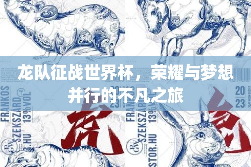 龙队征战世界杯，荣耀与梦想并行的不凡之旅
