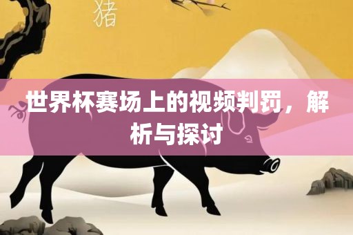 世界杯赛场上的视频判罚，解析与探讨