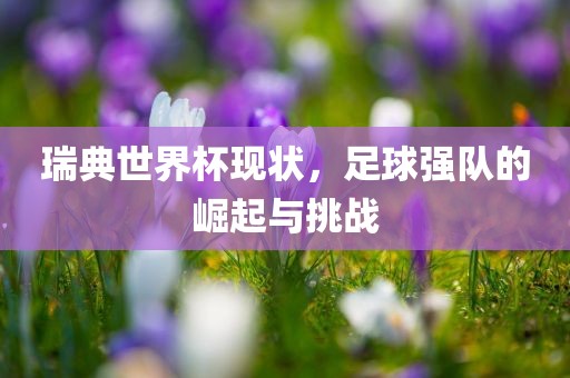 瑞典世界杯现状，足球强队的崛起与挑战