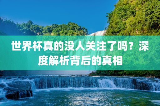世界杯真的没人关注了吗？深度解析背后的真相