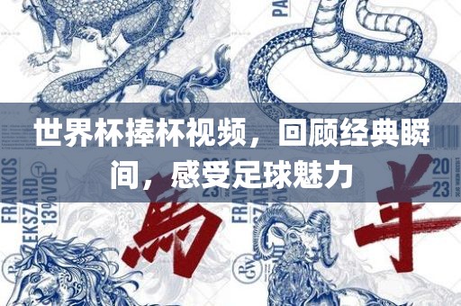 世界杯捧杯视频，回顾经典瞬间，感受足球魅力