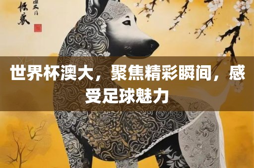 世界杯澳大，聚焦精彩瞬间，感受足球魅力