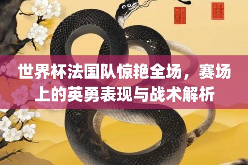 世界杯法国队惊艳全场，赛场上的英勇表现与战术解析
