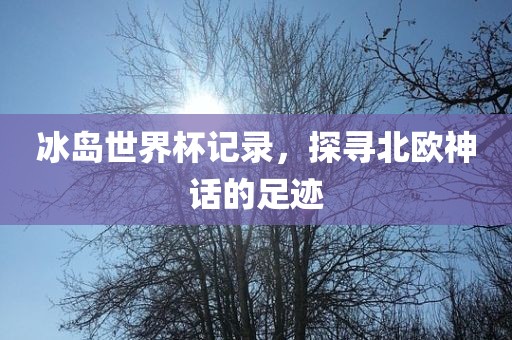 冰岛世界杯记录，探寻北欧神话的足迹