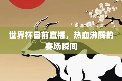 世界杯目前直播，热血沸腾的赛场瞬间