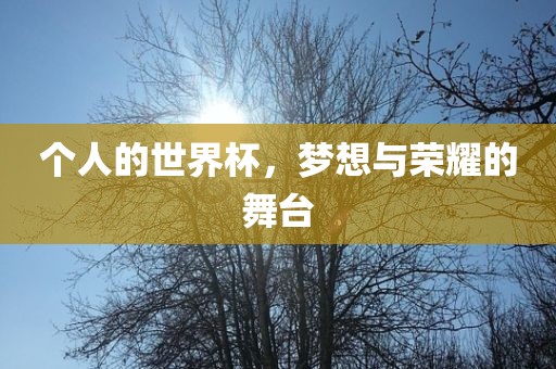 个人的世界杯，梦想与荣耀的舞台