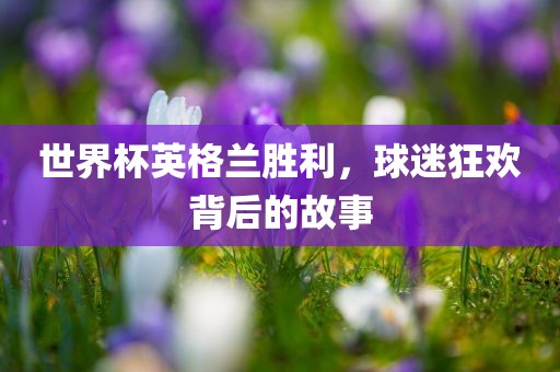 世界杯英格兰胜利，球迷狂欢背后的故事