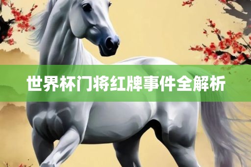 世界杯门将红牌事件全解析