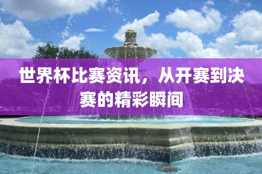 世界杯比赛资讯，从开赛到决赛的精彩瞬间