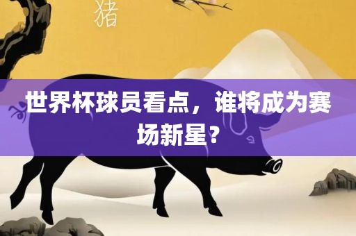 世界杯球员看点，谁将成为赛场新星？