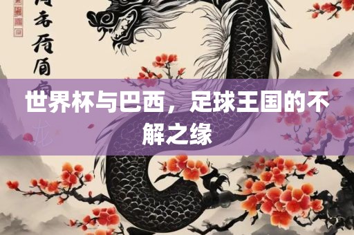 世界杯与巴西，足球王国的不解之缘