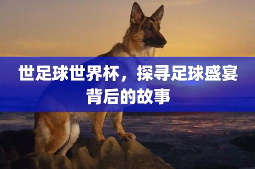 世足球世界杯，探寻足球盛宴背后的故事